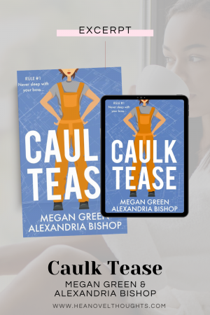 Caulk Tease, the first book in the BrookStone Partners by Alexandria Bishop and Megan Green is a best friend's brothers, enemies to lovers romance novel.